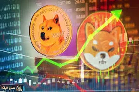 دوج کوین یا شیبااینو کدامیک برنده این عرصه خواهندشد؟