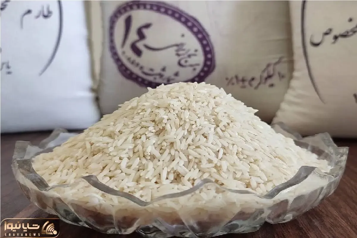 عبور قیمت برنج ایرانی از مرز ۲۳۰ هزار تومان / چه کسانی از افزایش قیمت برنج سود می‌برند؟