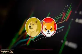 حماسه آفرین ترین اتفاق بین دوج کوین و شیبااینو!