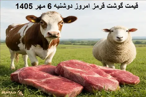 قیمت گوشت قرمز امروز دوشنبه 6 مهر 1405 / سردست کیلویی چند؟