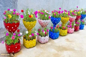 ایده های خلاقانه؛ بطری های پلاستیکی دوغ و نوشابه رو دور ننداز باهاش این گلدونارو بساز