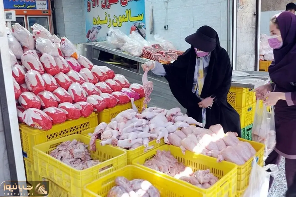 قیمت مرغ امروز 5 مهر 1404