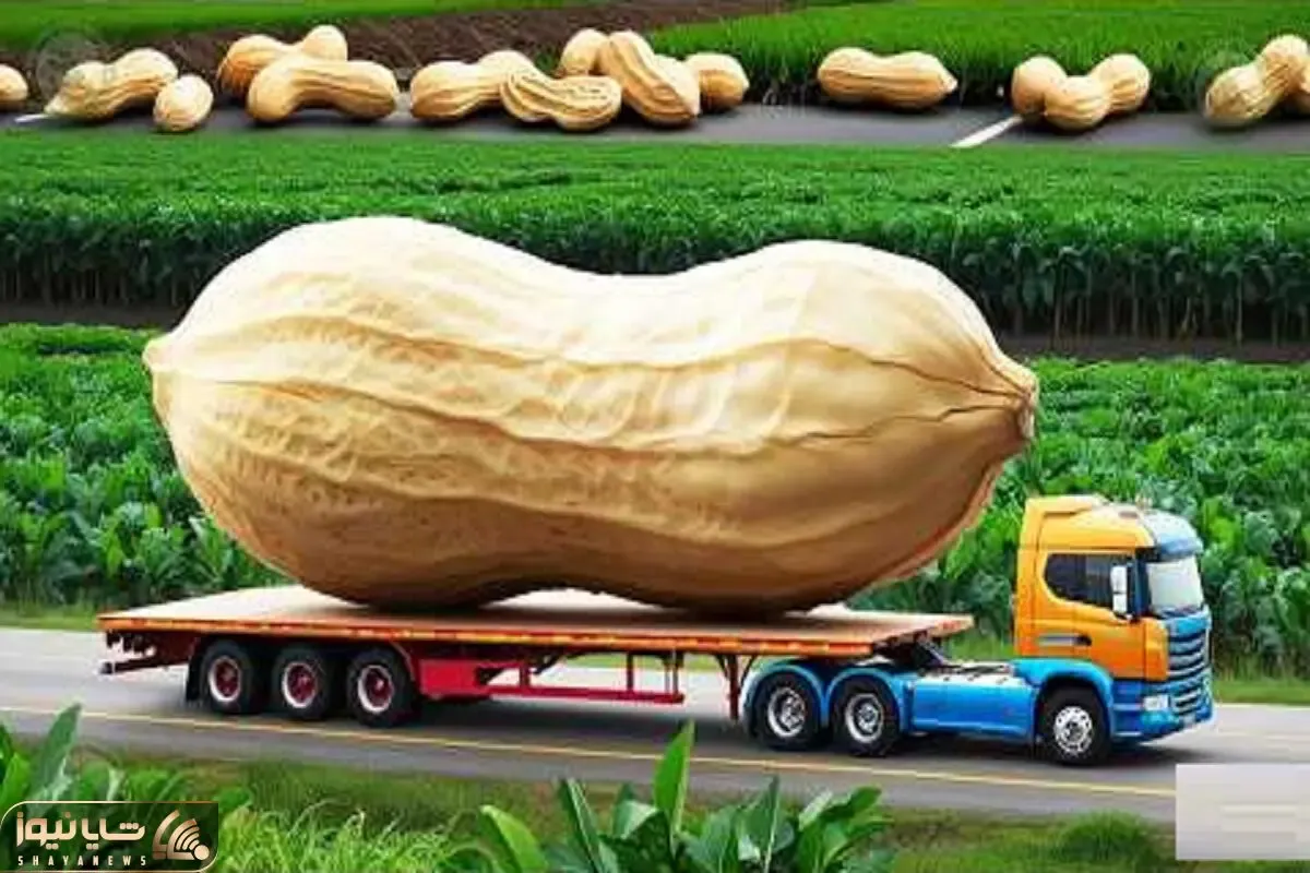 کشاورزی بدیع؛ با هوش مصنوعی و سموم بادوم زمینی کاشتن با تریلی نمیتونن حملش کنن