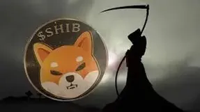 اگر کاربران به این کار ادامه دهند شیبا نابود میشود!!